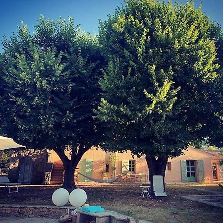 Villa Bastide Provencale De Charme A La Cote D'Azur Callian  Exterior foto